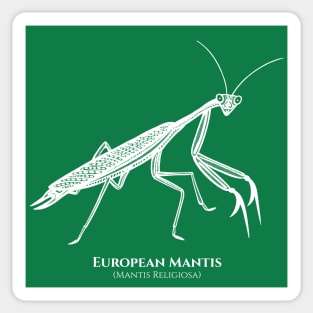 European Mantis design with Common and Latin Names Sticker